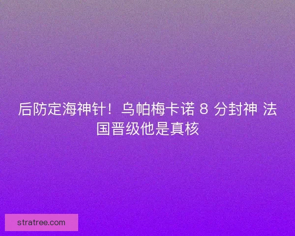 后防定海神针！乌帕梅卡诺 8 分封神 法国晋级他是真核