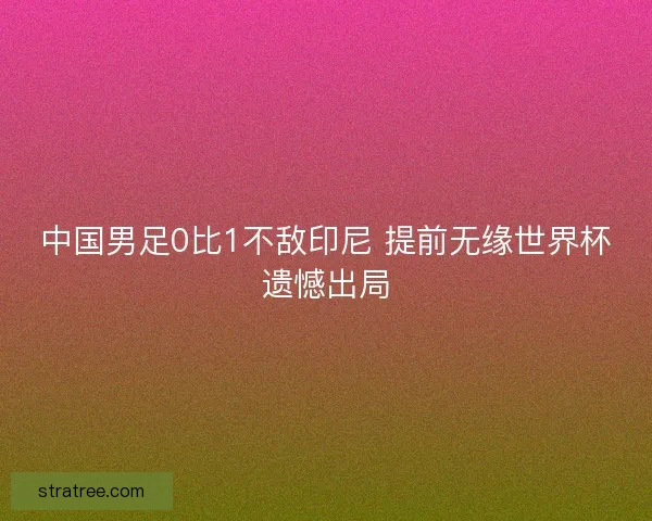 中国男足0比1不敌印尼 提前无缘世界杯遗憾出局